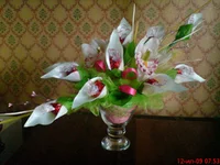 DSC00426.webp