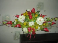 IMG_1834.webp