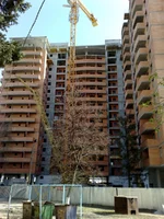 24042010560.webp