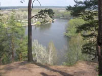  040.webp