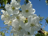 DSC02506.webp