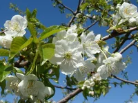 DSC02505.webp