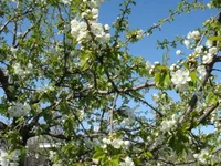DSC02504.webp