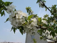 002.webp