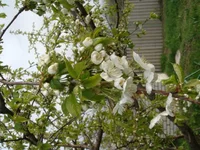 DSC02490.JPG