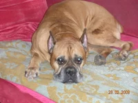 DSCN0036.webp