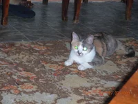 DSCN0132.webp