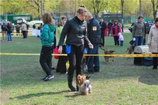 a603437b0dc2.webp