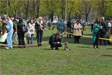 3a0c49770f07.jpg