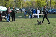 68d982ba0845.webp