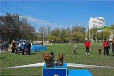 153a999ed329.webp