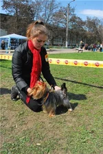 02fb4e32acec.webp