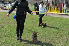 a7988005a1cf.webp
