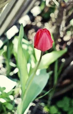 DSC_0602 полностью .jpg
