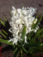 .webp