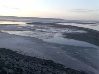 090_1_~1.webp