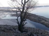 092_1_~1.webp