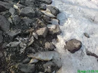 dsc01795_285.webp