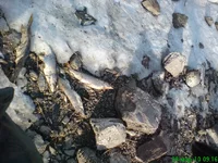 dsc01798_305.webp