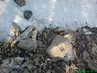 dsc01799_155.webp