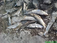 dsc01801_186.webp