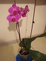 DSC01625_2.webp