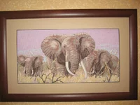 IMG_1785 [1600x1200].webp