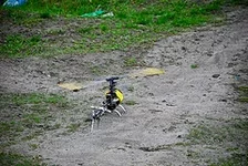 4556571329_8542ca2454_m.webp