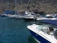 DSC03503.jpg