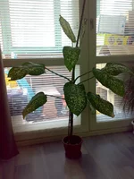 28042010265.jpg