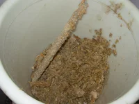 _DSCN0183.webp
