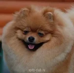 DSC%200175.webp