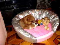 DSC02532.webp