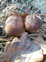 20181107_094956.webp