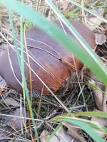 20181107_112233.webp