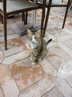 IMG_20180727_125418267.webp