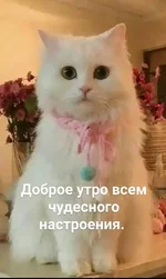 45951564_327037828121190_6294244297063530496_n.webp