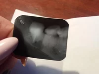20181113_120729.jpg