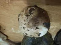 20181115_164852.webp