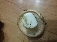 20181115_164726.webp