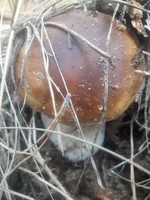 20181115_113323.webp