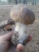 20181115_123029.webp