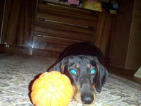IMG_20181119_162105.webp