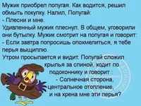 Screenshot_4.webp