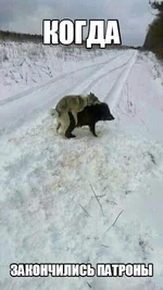 IMG-7fabd1f7f318e5a99d500f2ccfc56880-V.webp