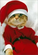 smeshnoy_ded_moroz.l.webp
