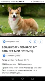 Screenshot_20181206-201942.webp