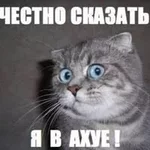 11.webp