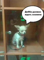 14080967865621.webp
