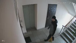 NVR@ch1@main_20181207132716_20181207132747 107.webp